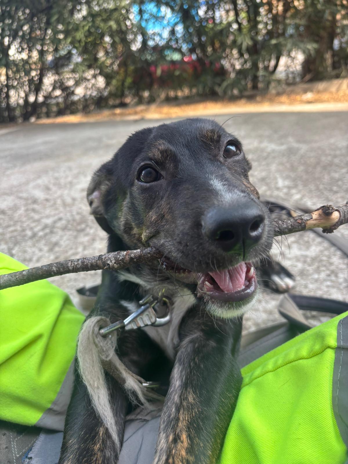 Foto de Almudena